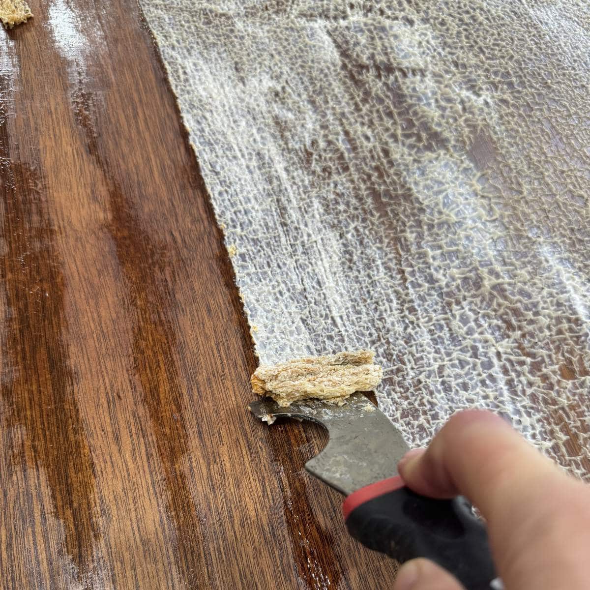 Removing Smart Strip paint stripper with a putty knife