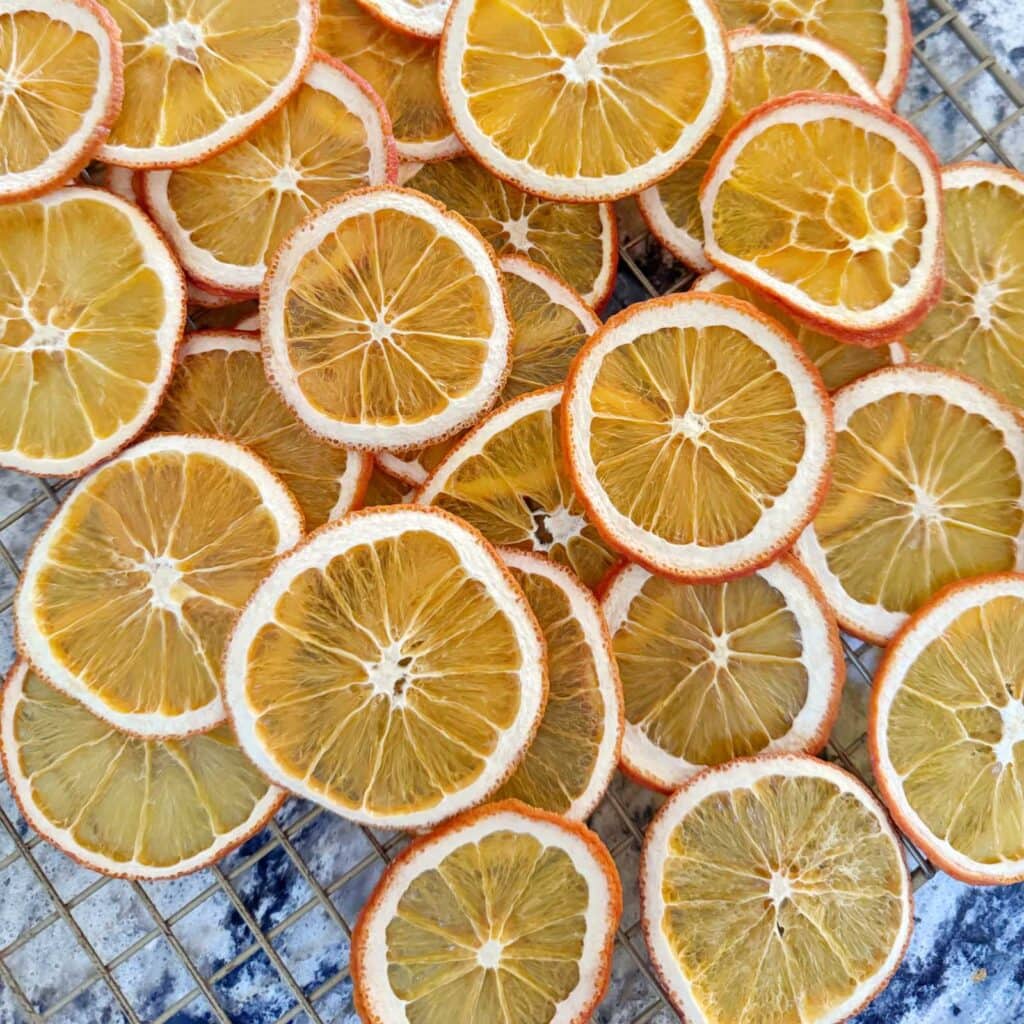 Oranges after they have been dried